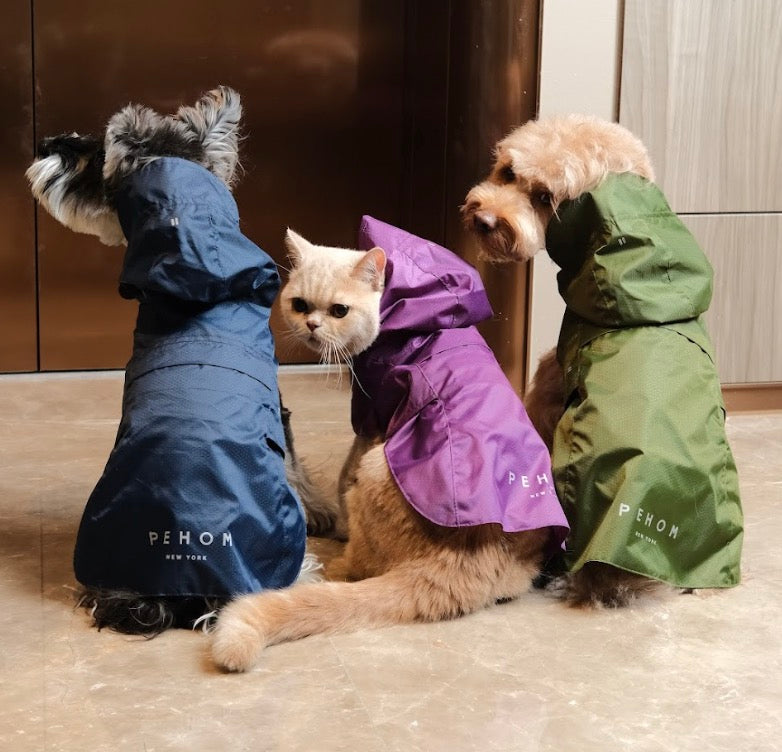 หนึ่งในเสื้อกันฝนที่ดีที่สุดในประเทศไทย!