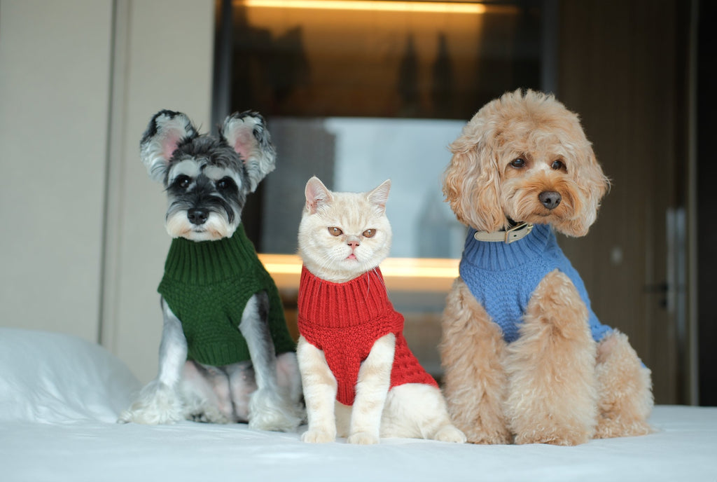 SWEATER