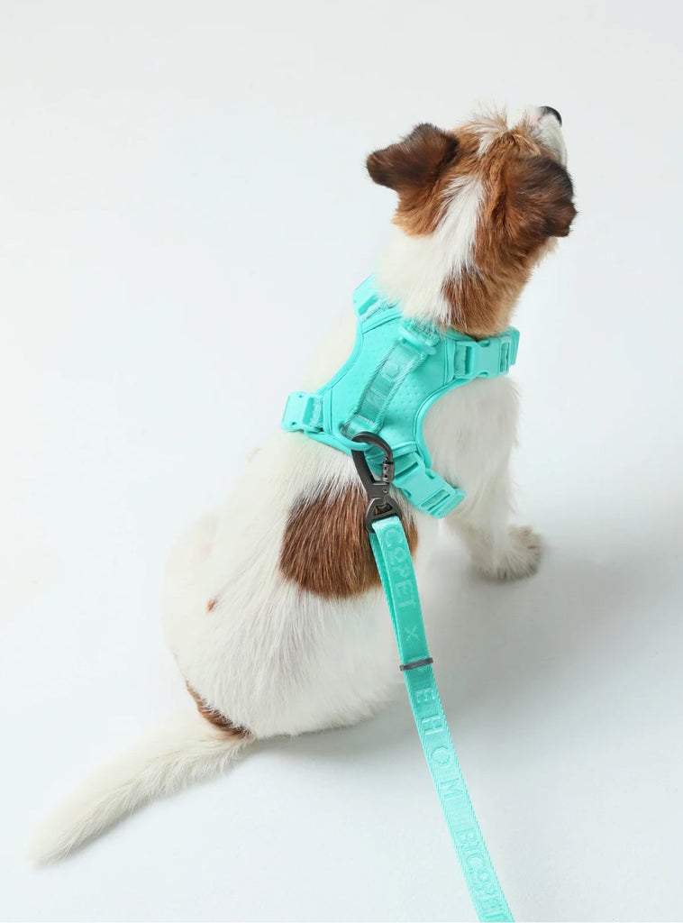 HARNESS