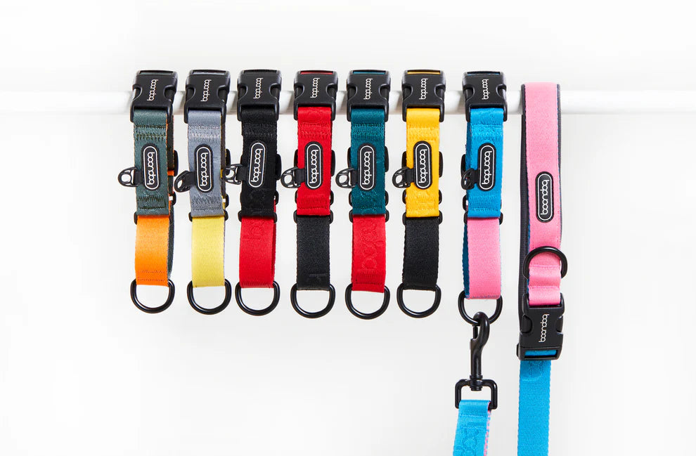 [BOONDOG] Original Martingale Collar Aqua Pink