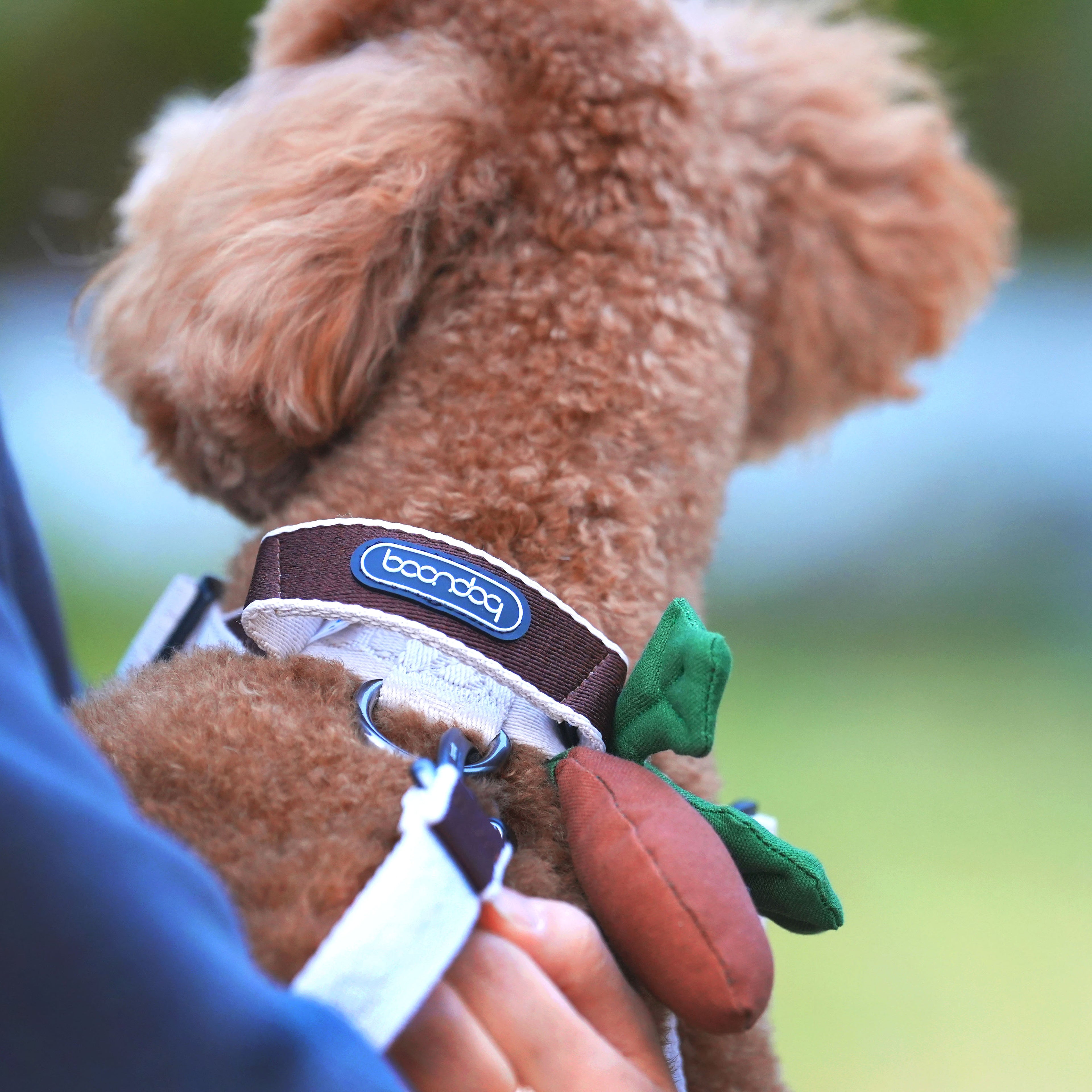 [BOONDOG] 0109 Harness Black Pink