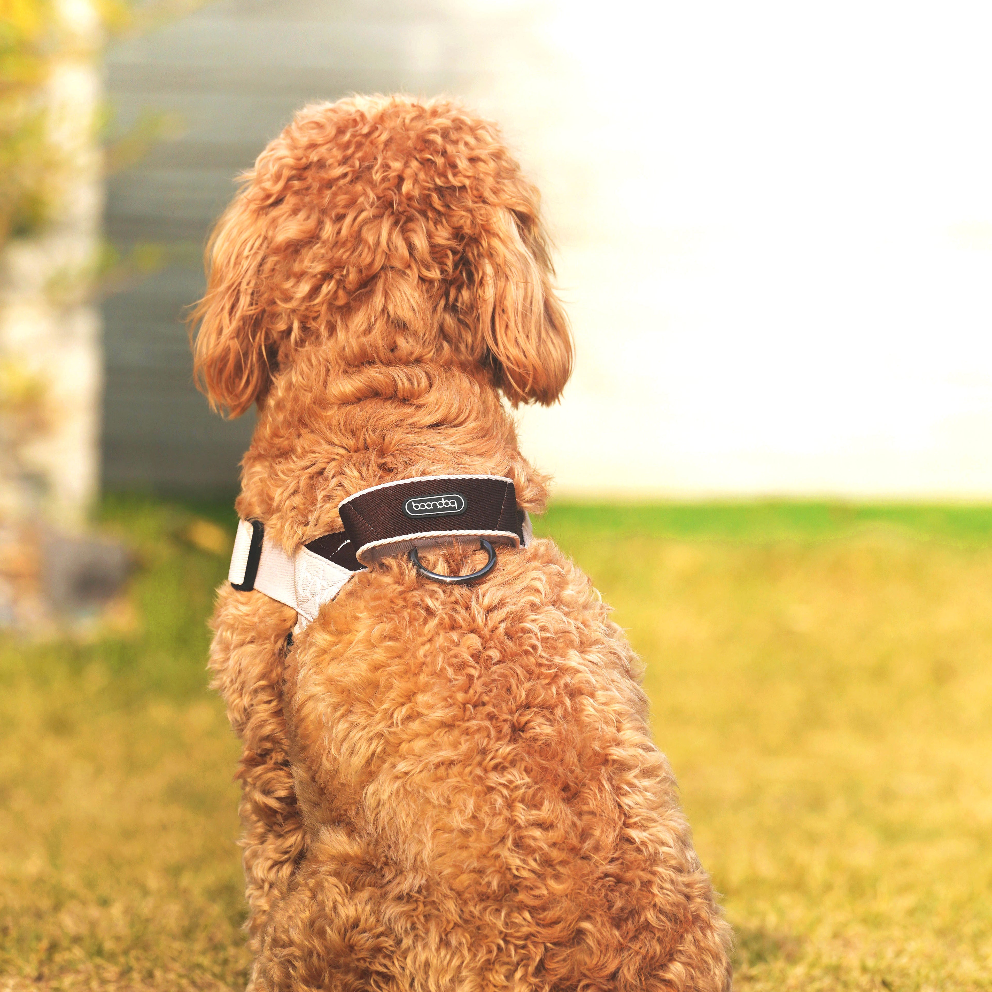 [BOONDOG] 0109 Harness Black Pink