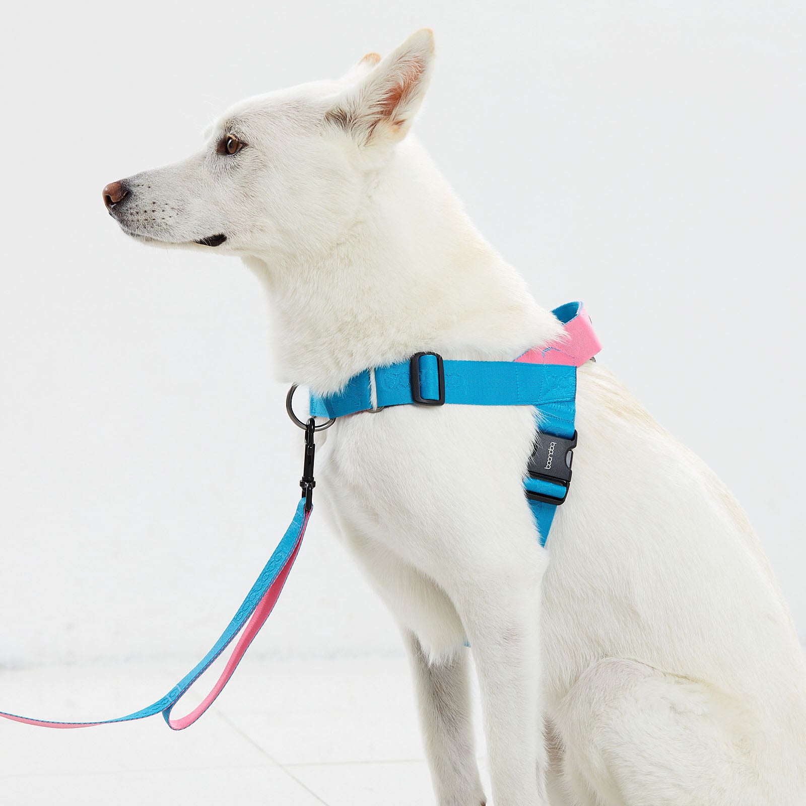 [BOONDOG] 0109 Harness Black Pink