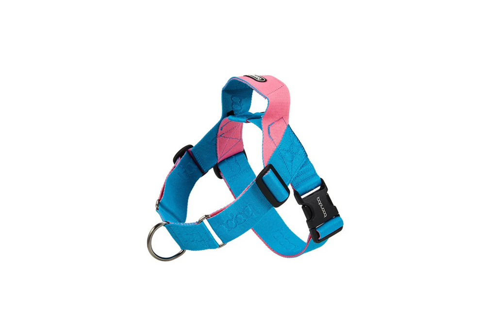 [BOONDOG] 0109 Harness Aqua Pink