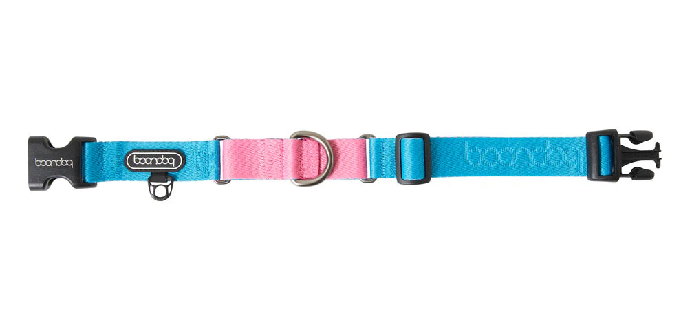[BOONDOG] Original Martingale Collar Aqua Pink