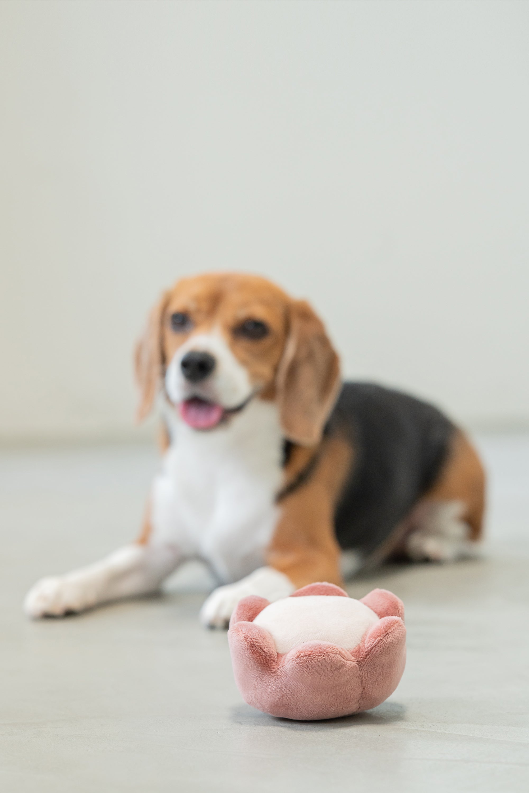 PARADISE PET TOY - ROSE