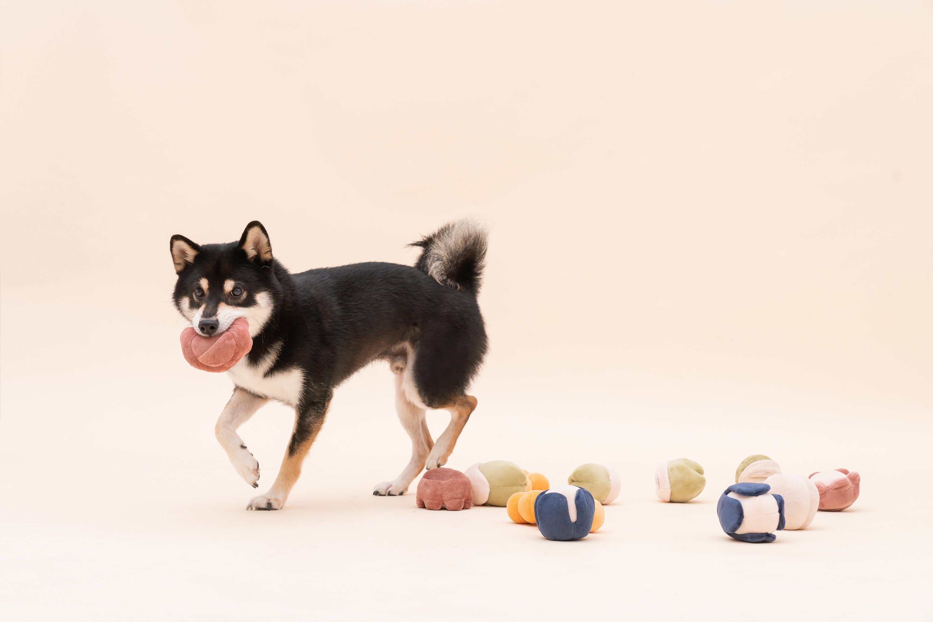 PARADISE PET TOY - ROSE