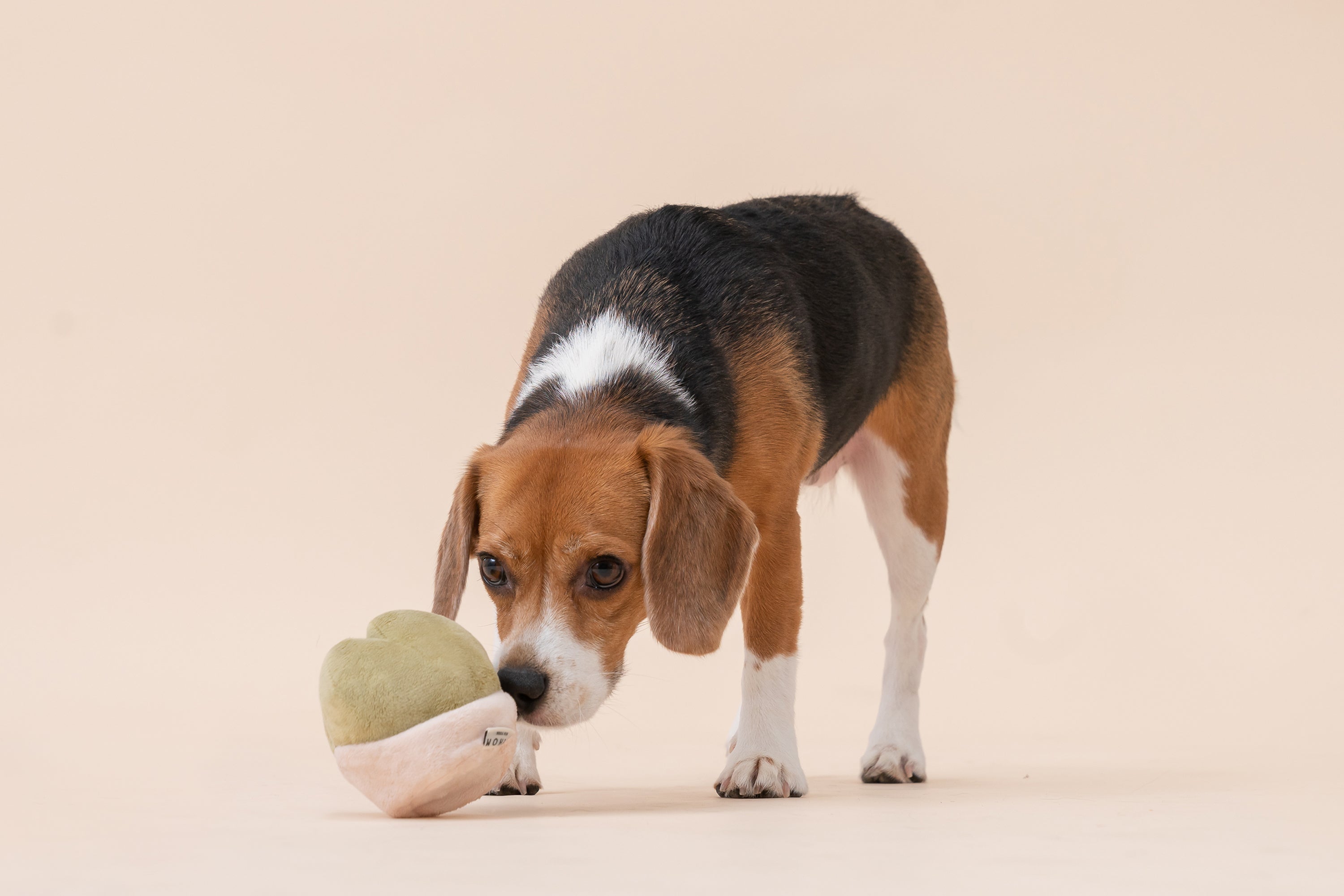 PARADISE PET TOY- FRITILLARIA