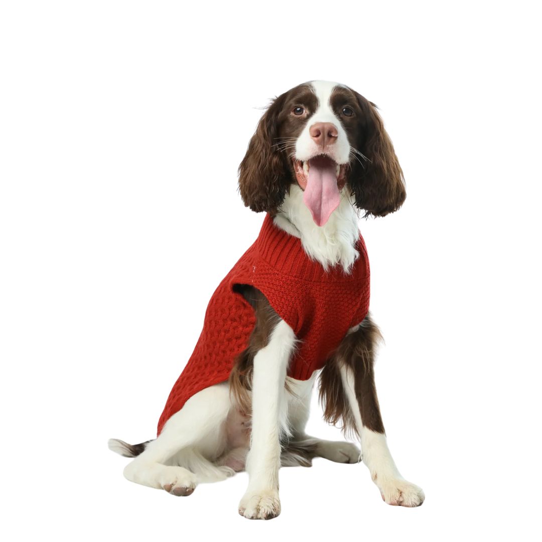 PET SWEATER VEST - RED