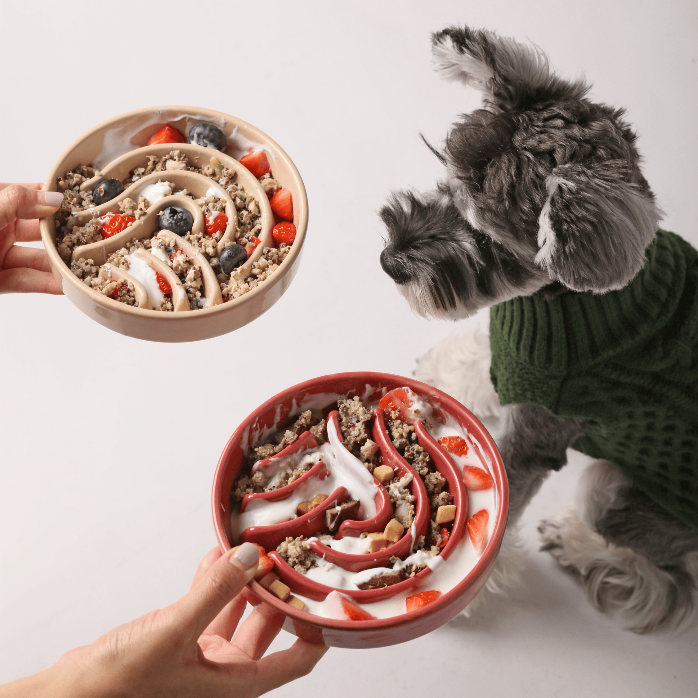 [WAVE] Slow Feeder Dog Bowls - Beige S