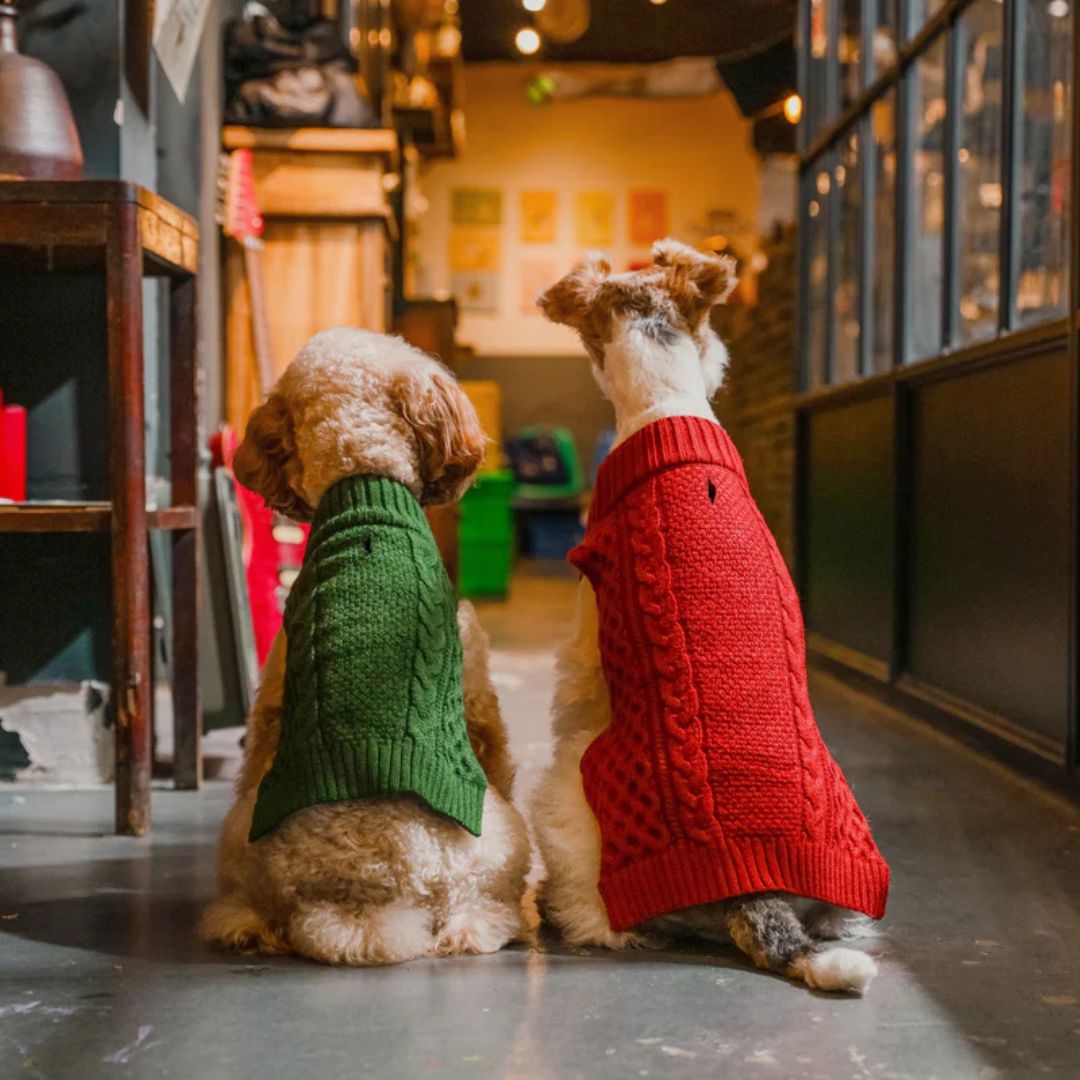 PET SWEATER VEST - RED