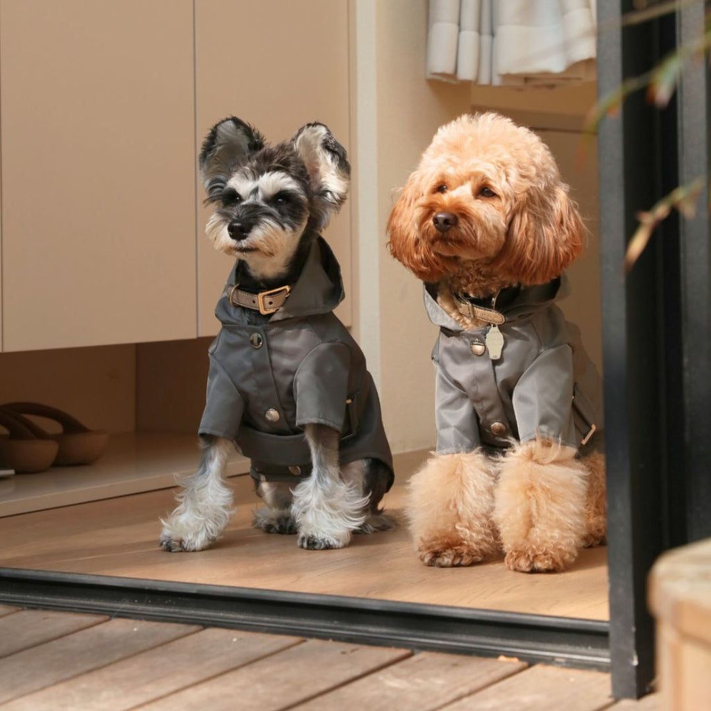 BOWERY RAINCOAT - GRAY