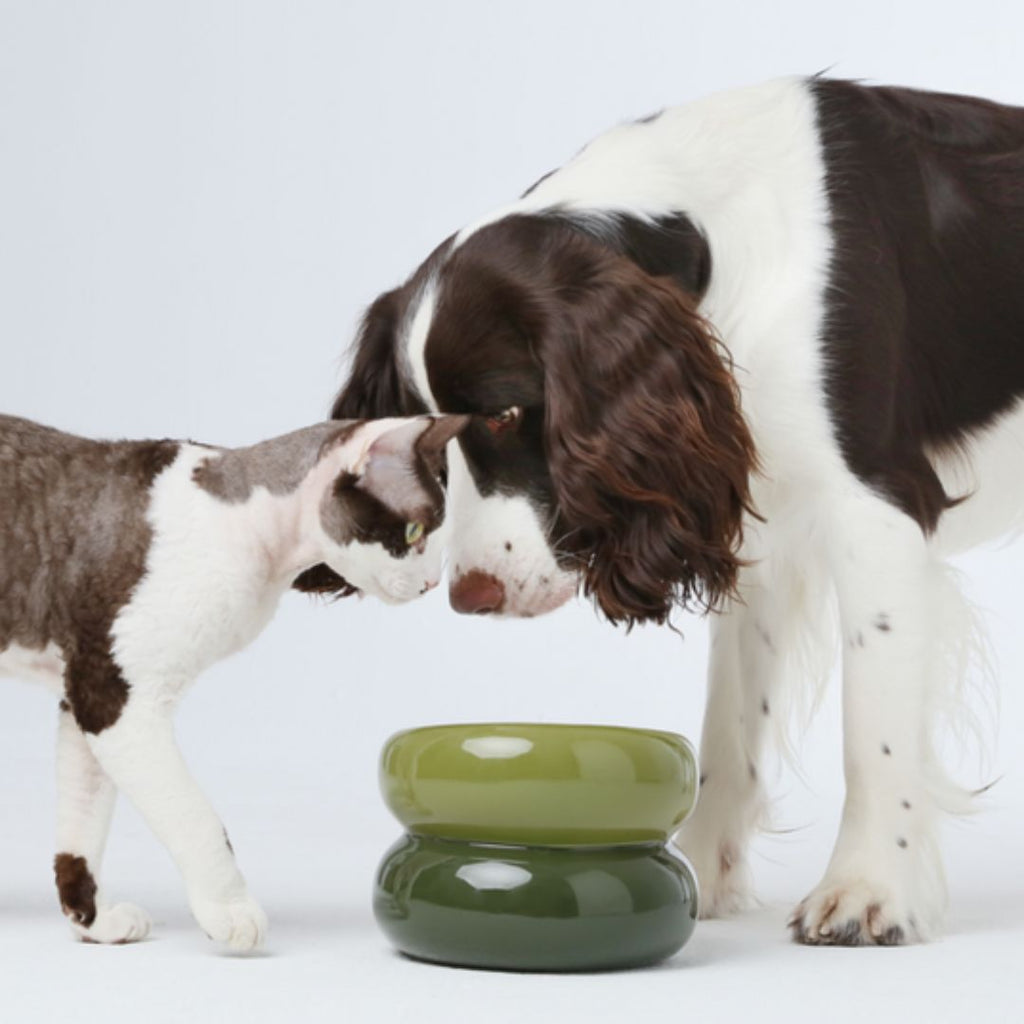 SOUFFLÉ PET BOWL - AVOCADO GREEN