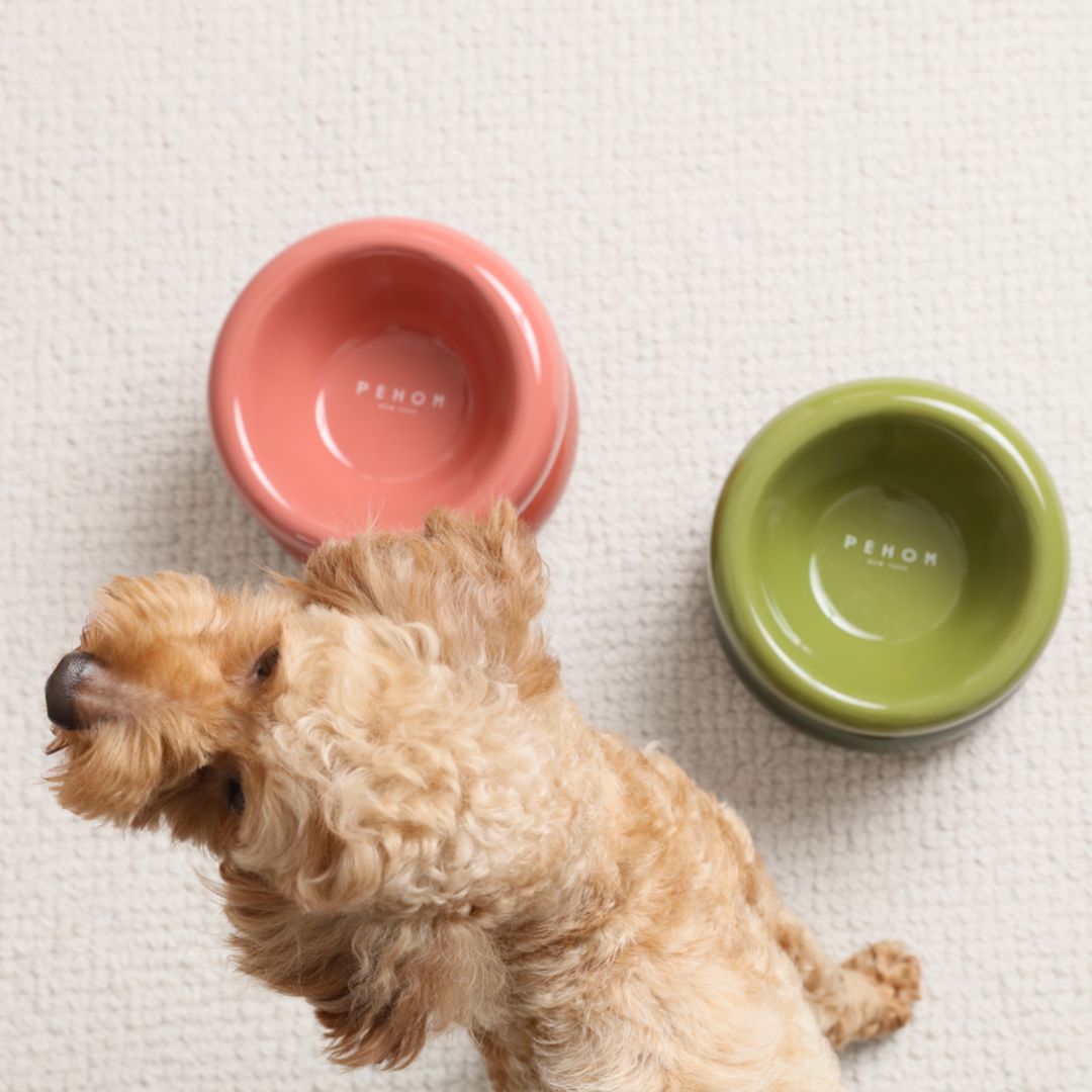 SOUFFLÉ PET BOWL -  AMBER ORANGE