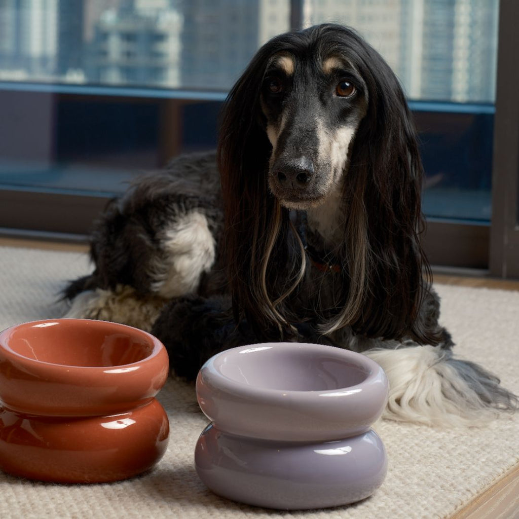 SOUFFLÉ PET BOWL - ROSE PINK