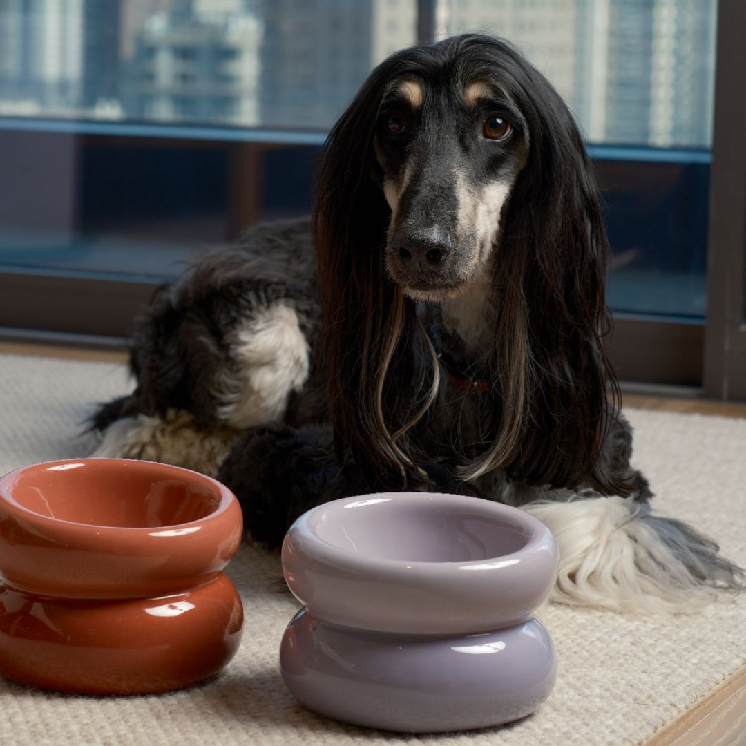 SOUFFLÉ PET BOWL - PURPLE