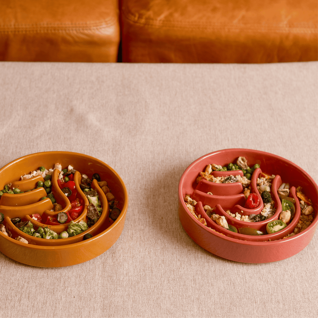 [SET WAVE] Slow Feeder Dog Bowls - Orange S