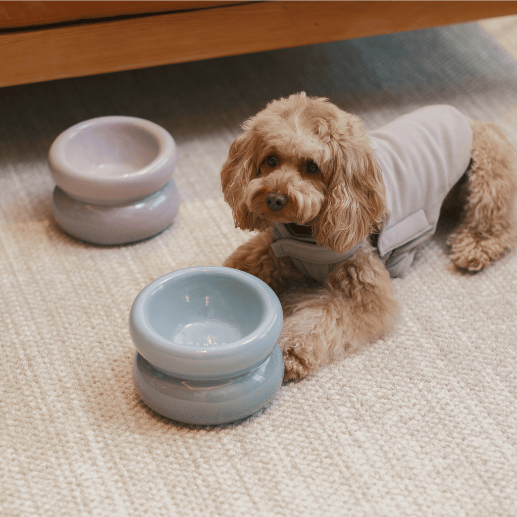 SOUFFLÉ PET BOWL - BLUE