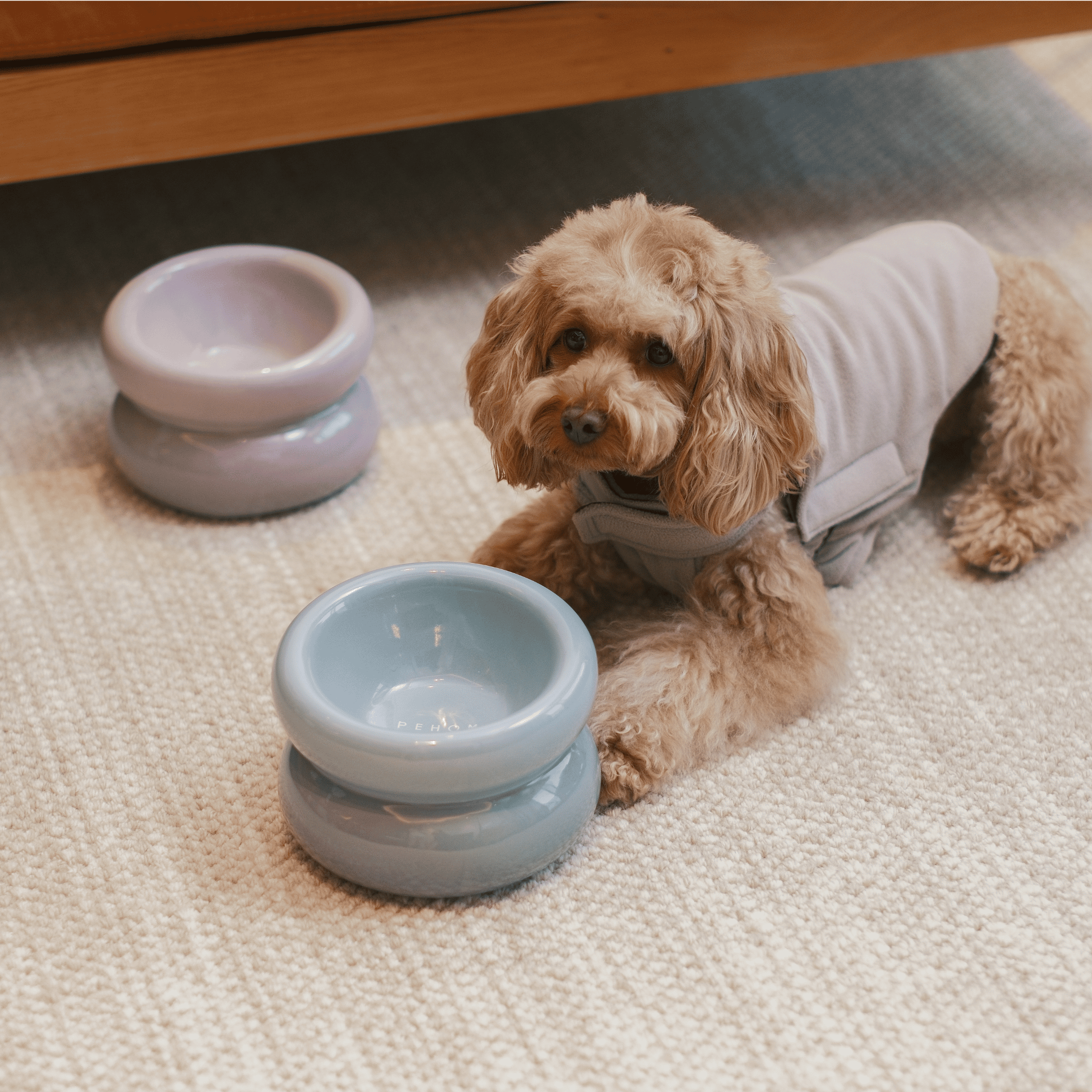 SOUFFLÉ PET BOWL - BLUE