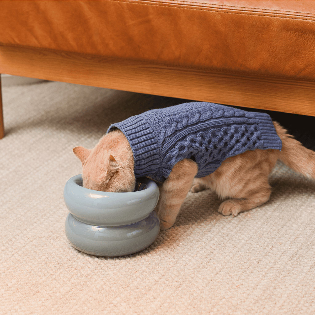 SOUFFLÉ PET BOWL - BLUE