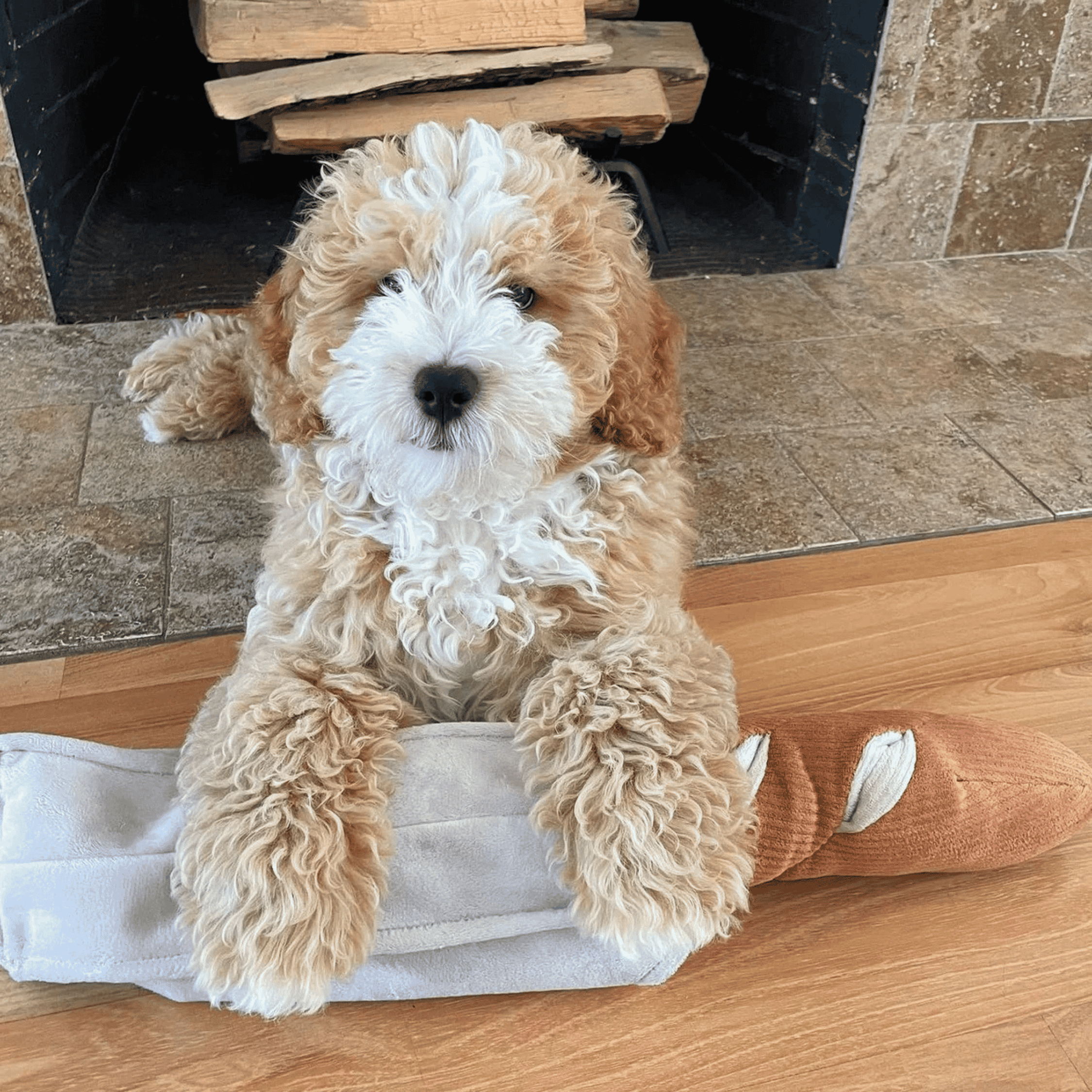 Lambwolf Collective - BAGUETTE