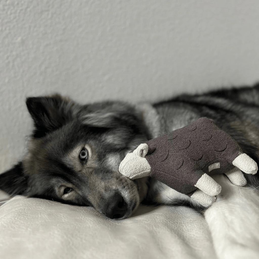 Lambwolf Collective - BARRY