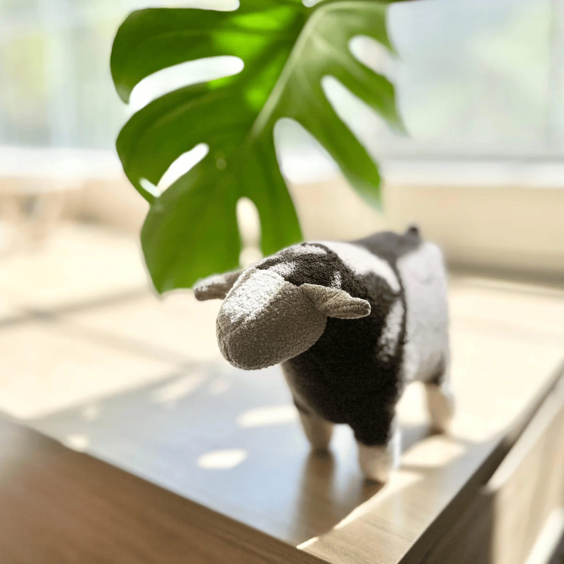 Lambwolf Collective - BARRY