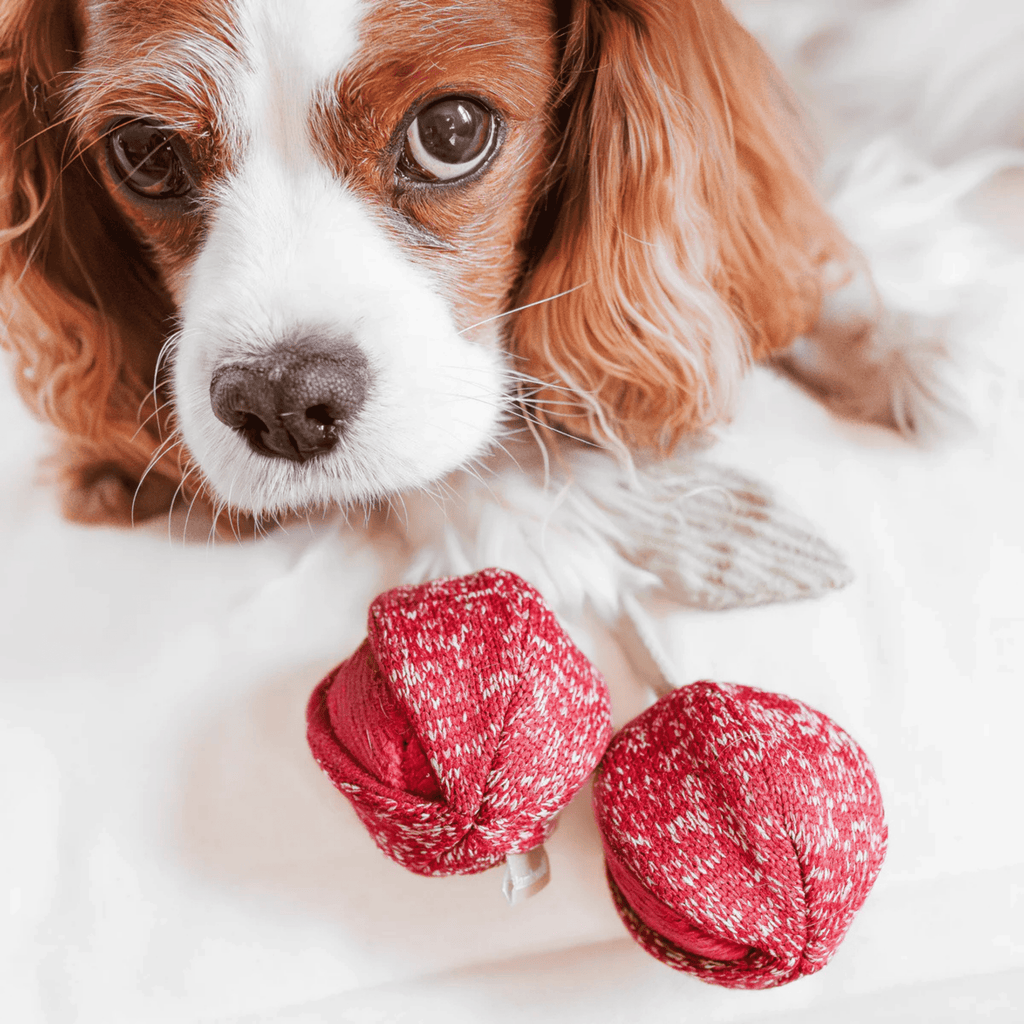 Lambwolf Collective - CHERRY POP