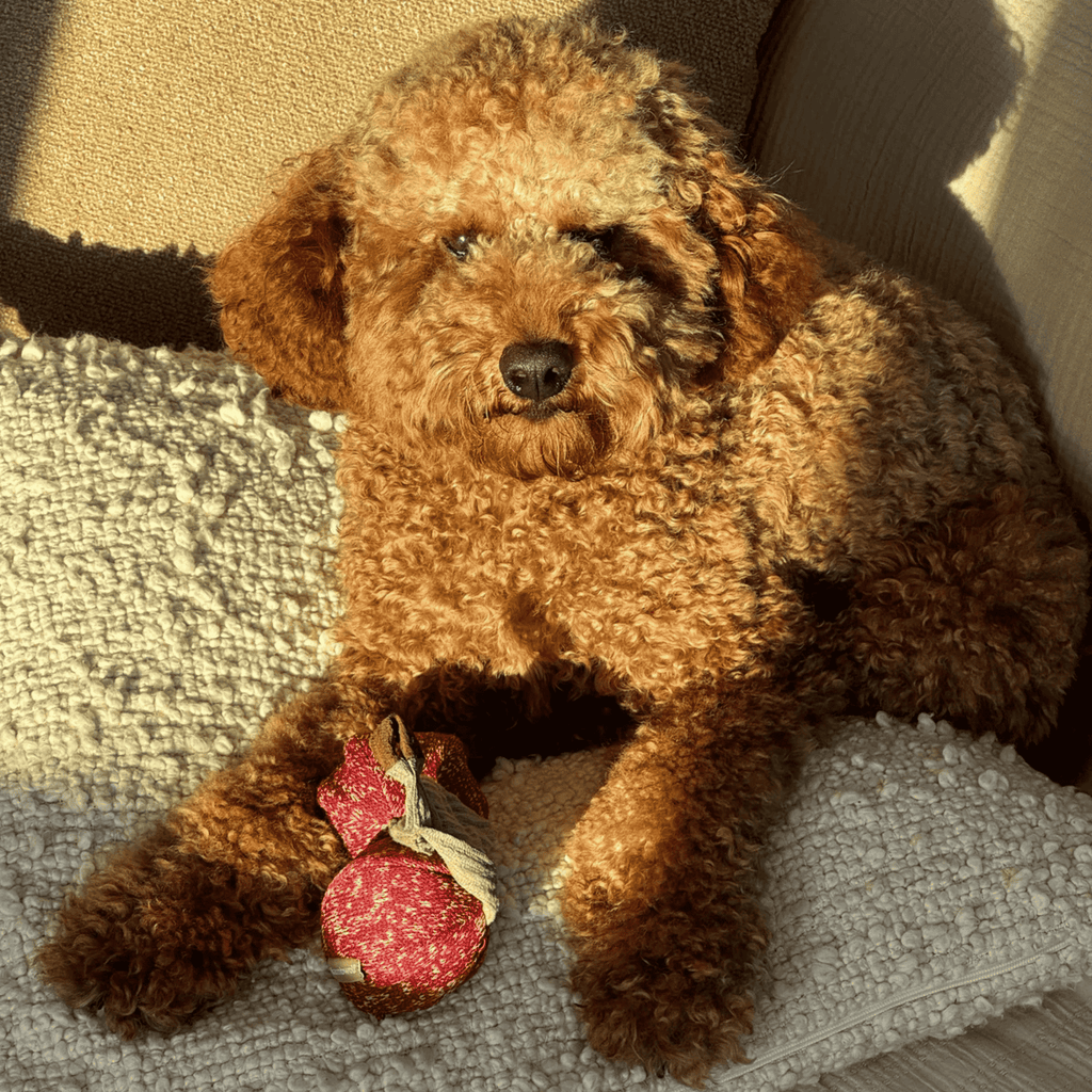 Lambwolf Collective - CHERRY POP