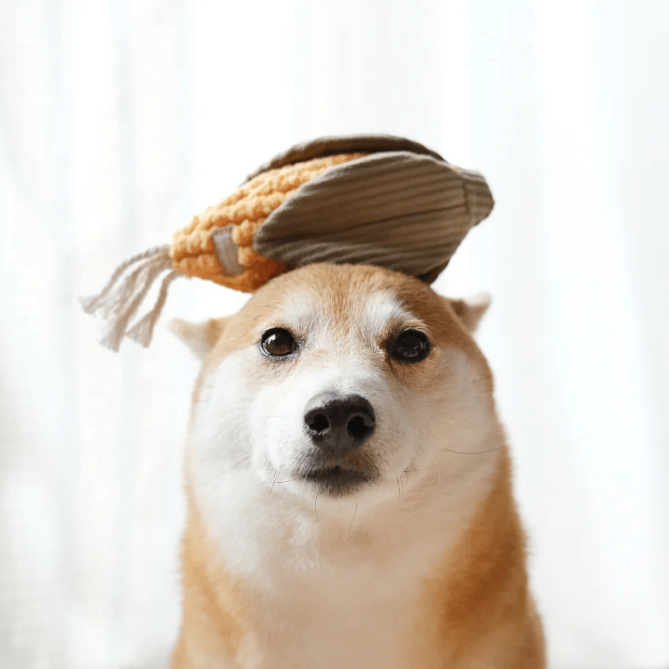 Lambwolf Collective - CORN