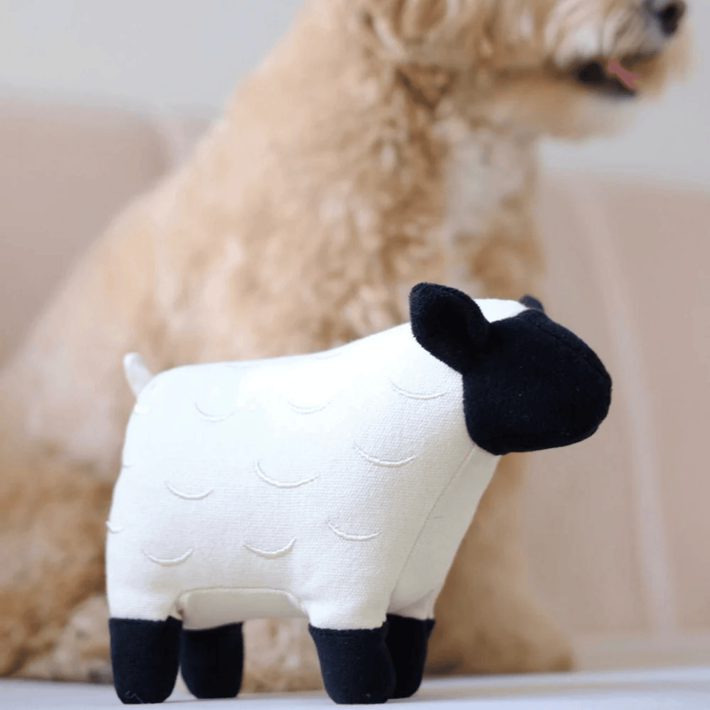 Lambwolf Collective - DOLLY