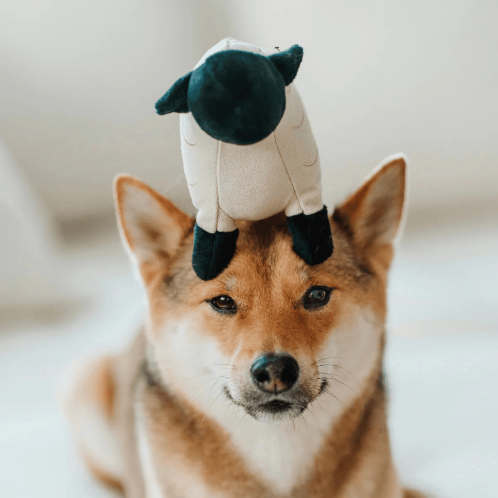 Lambwolf Collective - DOLLY