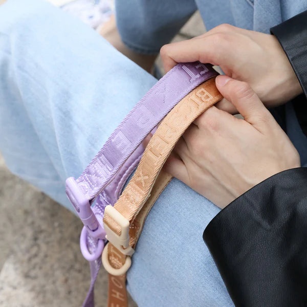 PADDED ACTIVE PET LEASH - MINT PURPLE