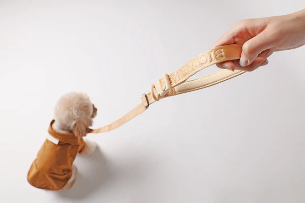 PADDED ACTIVE PET LEASH - APRICOT