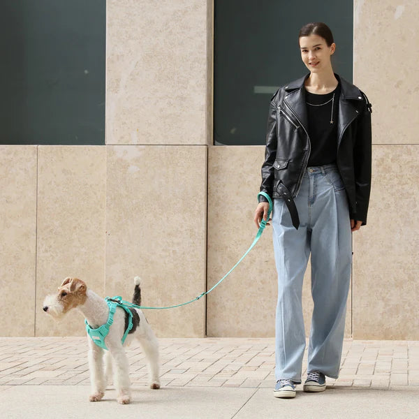 PADDED ACTIVE PET LEASH - MINT GREEN