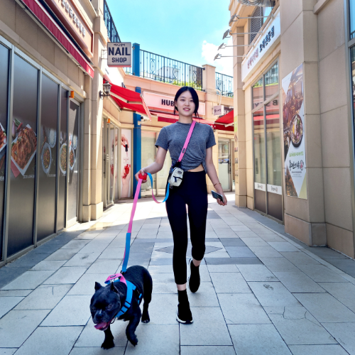 [BOONDOG] Play Leash 2.0 Black Pink