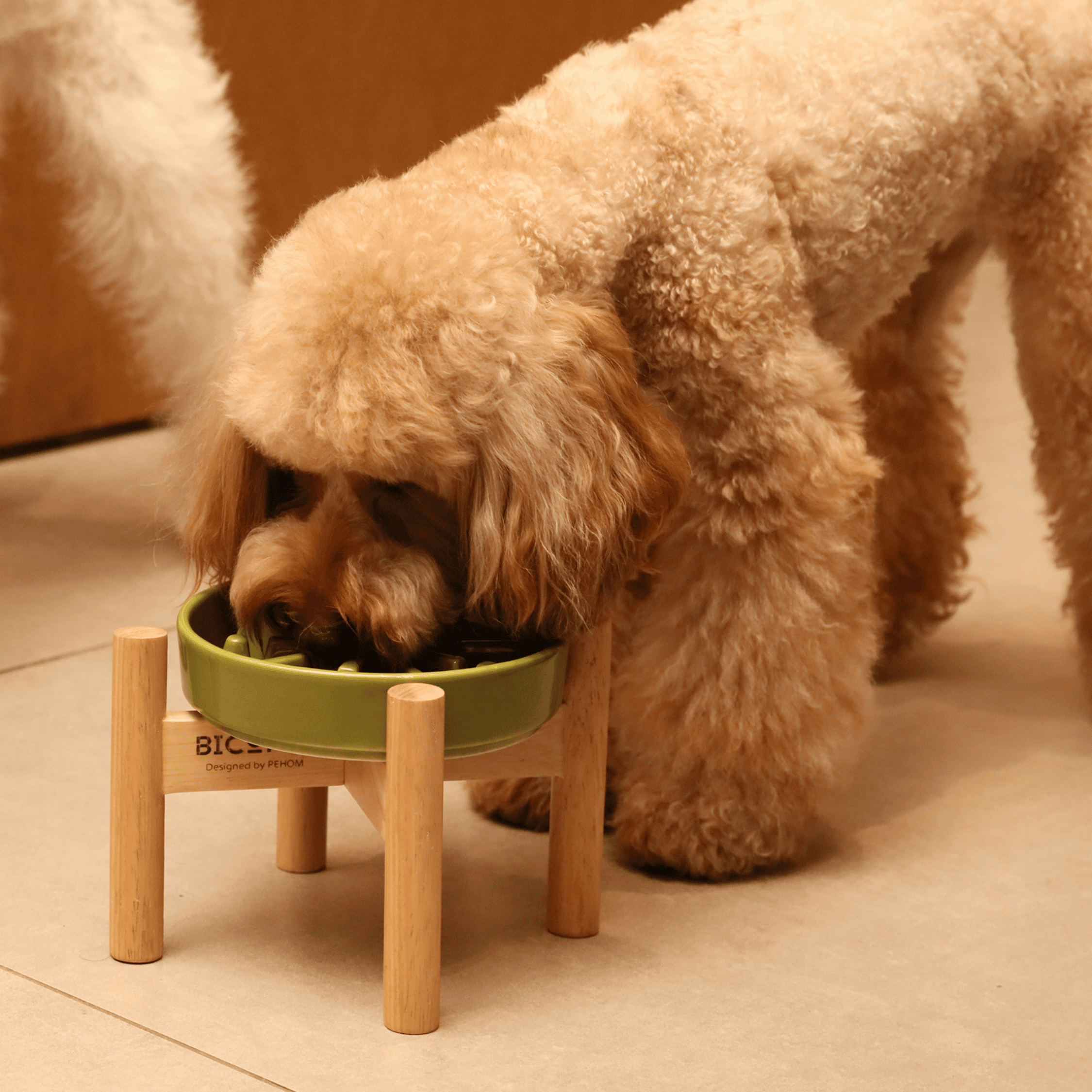 [SET SPARK] Slow Feeder Dog Bowls - Green S