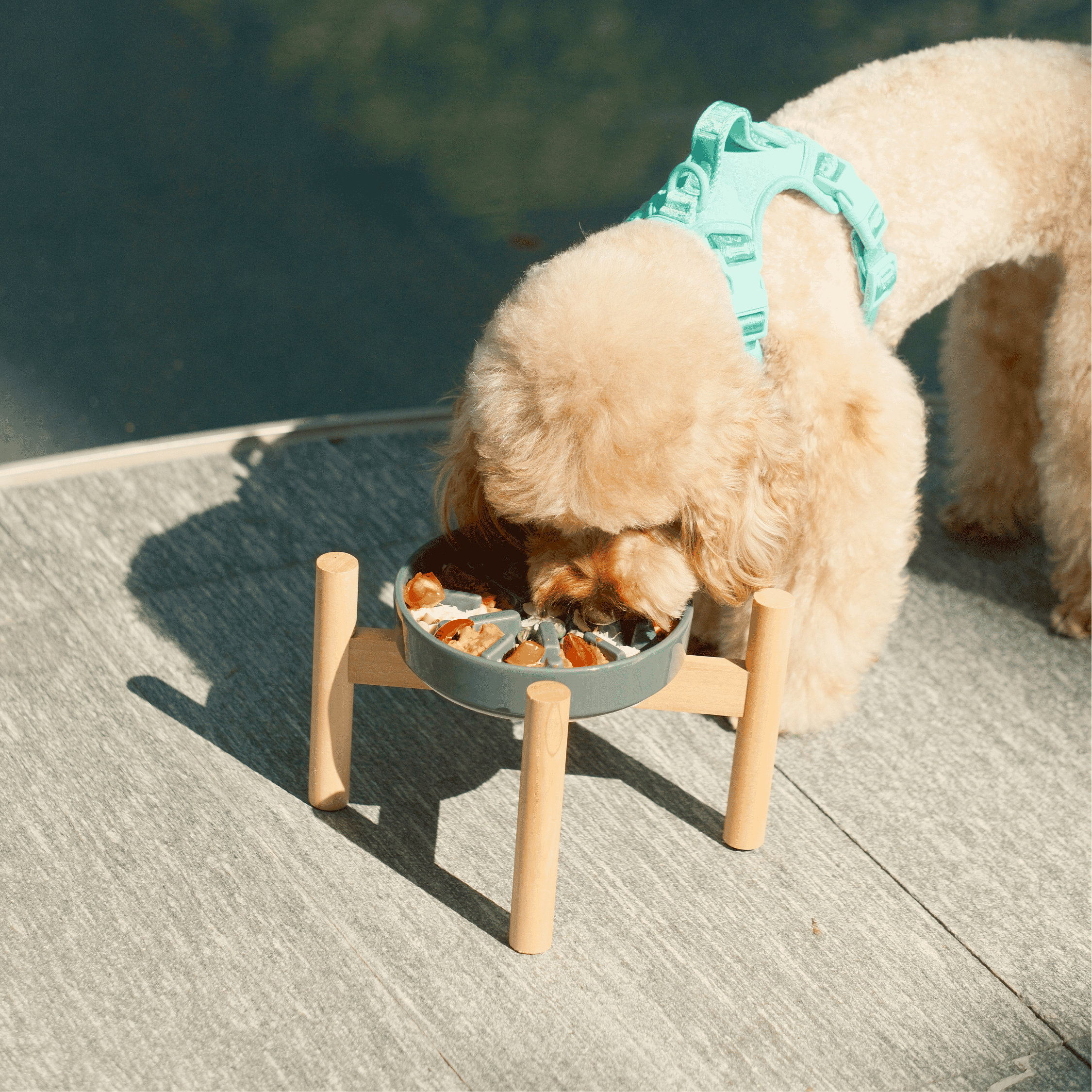 [SET SPARK] Slow Feeder Dog Bowls - Blue S