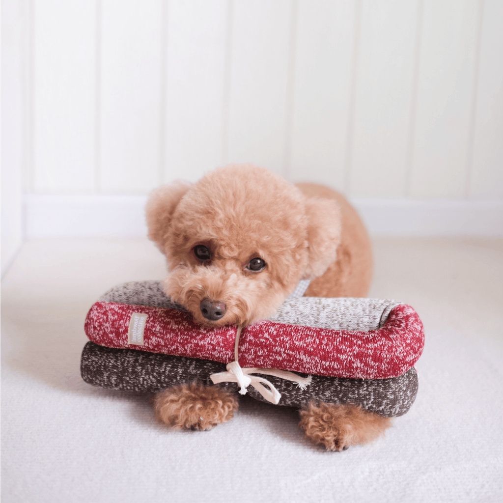 Lambwolf Collective - HOLIDAY NOU