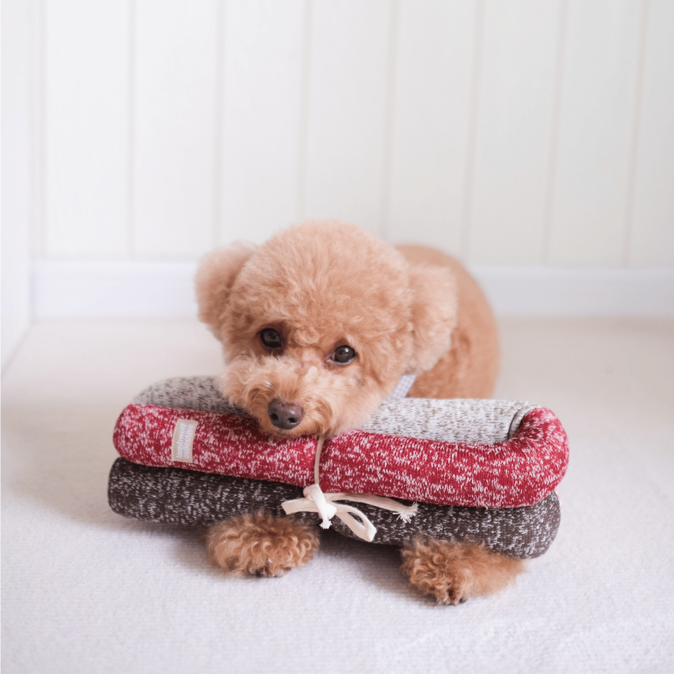 Lambwolf Collective - HOLIDAY NOU