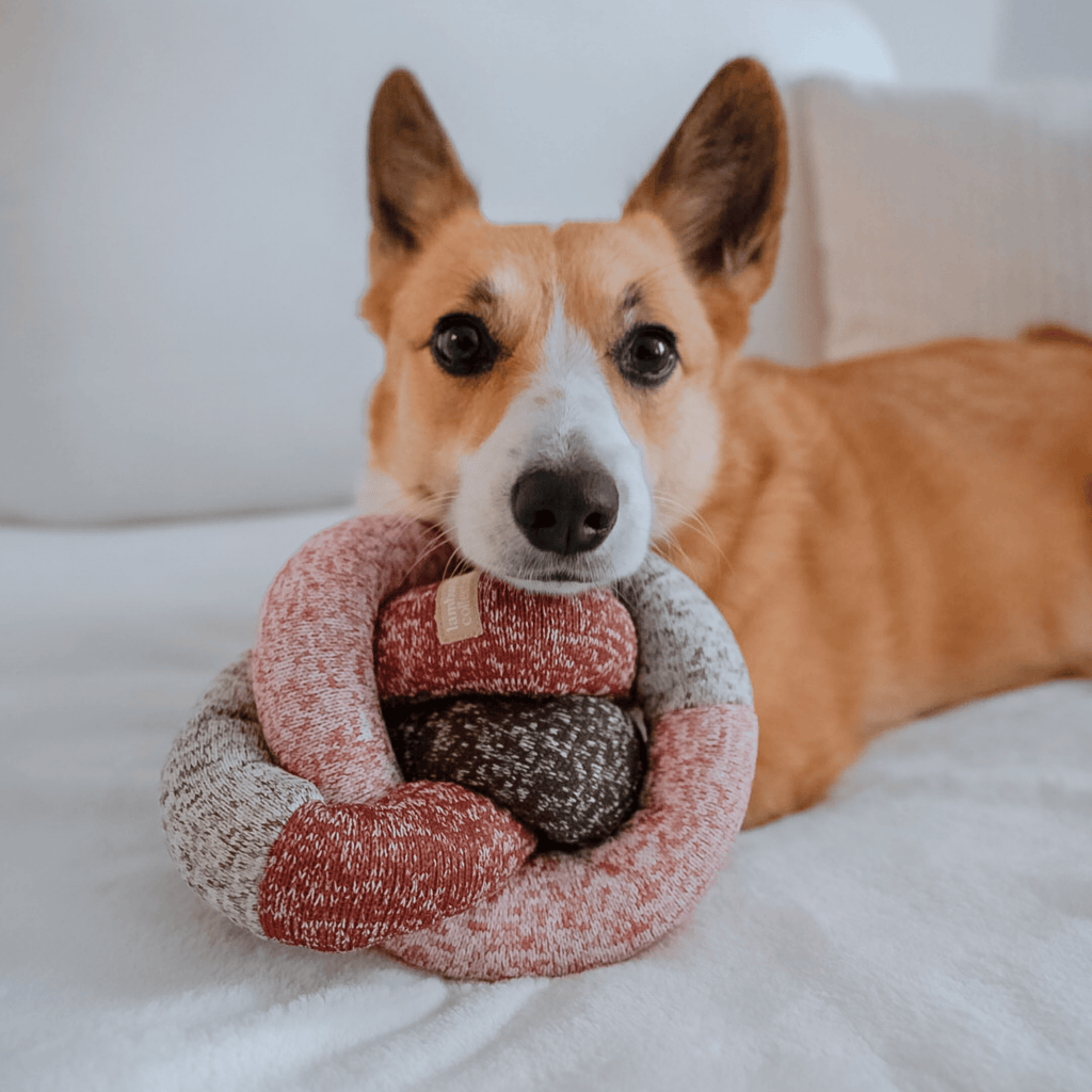 Lambwolf Collective - HOLIDAY NOU