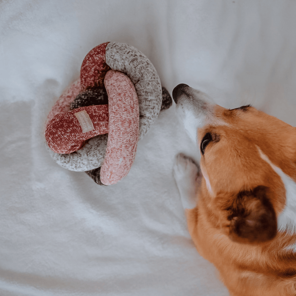 Lambwolf Collective - HOLIDAY NOU