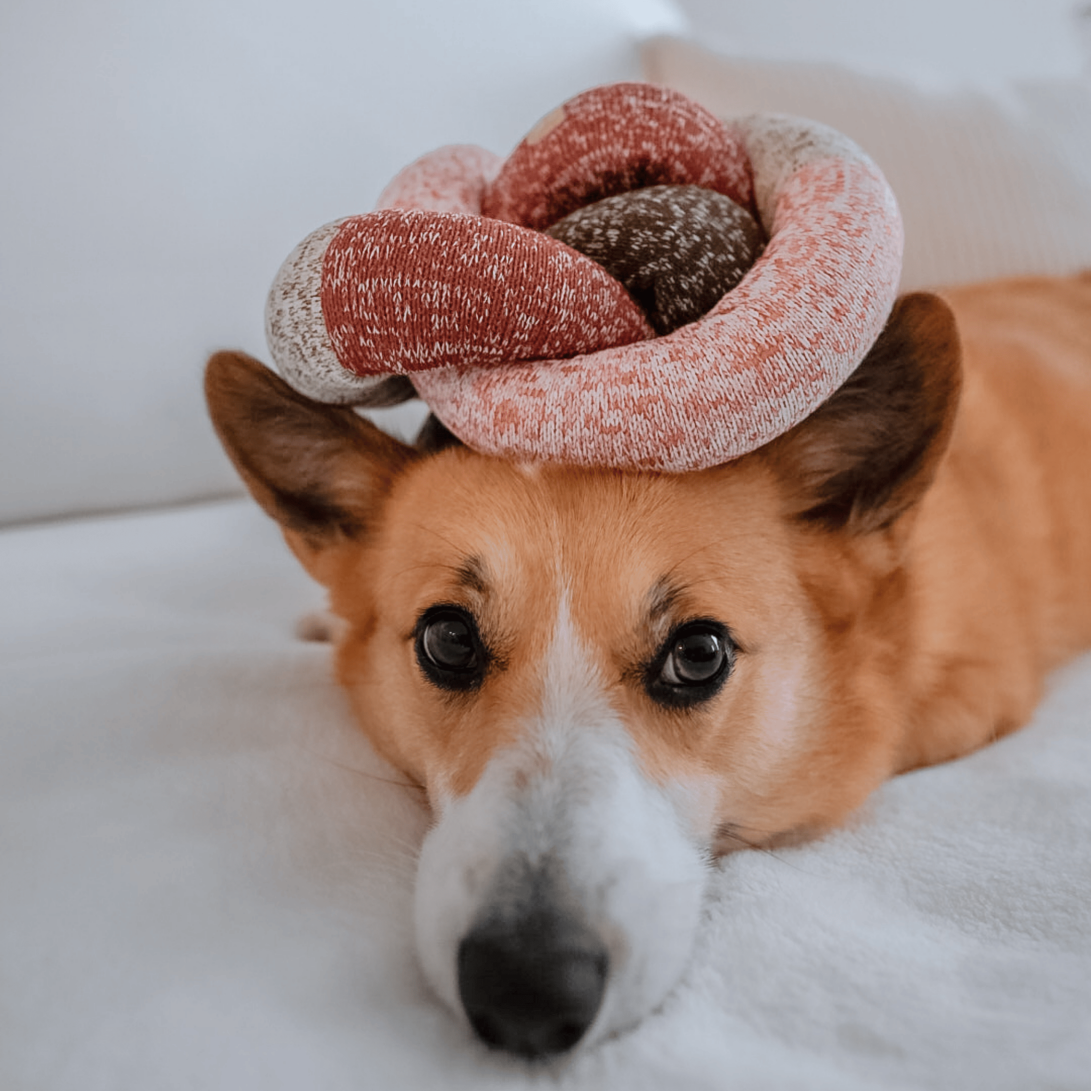 Lambwolf Collective - HOLIDAY NOU