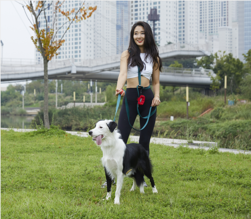 [BOONDOG] Play Leash 2.0 Black Pink