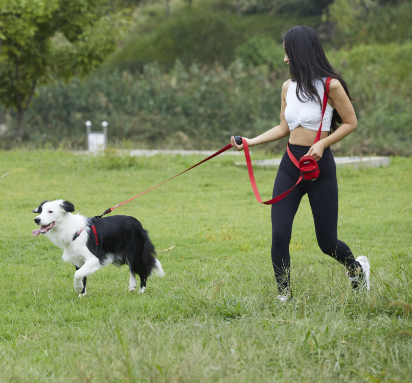 [BOONDOG] Play Leash 2.0 Black Pink