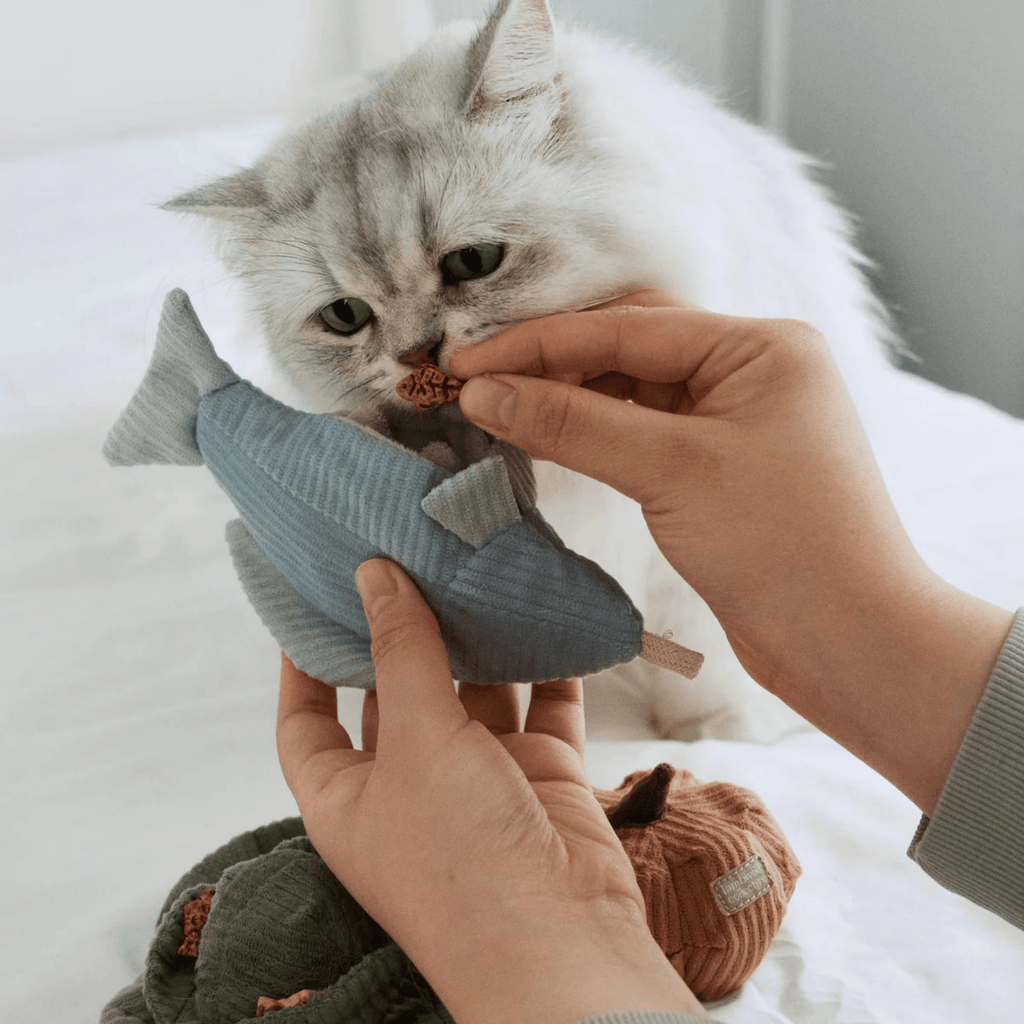 Lambwolf Collective - KITTY TROUT