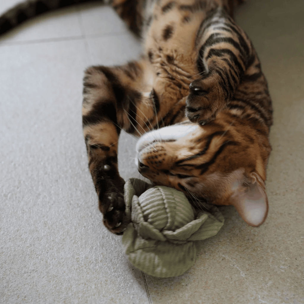 Lambwolf Collective - KITTY VEGGIE