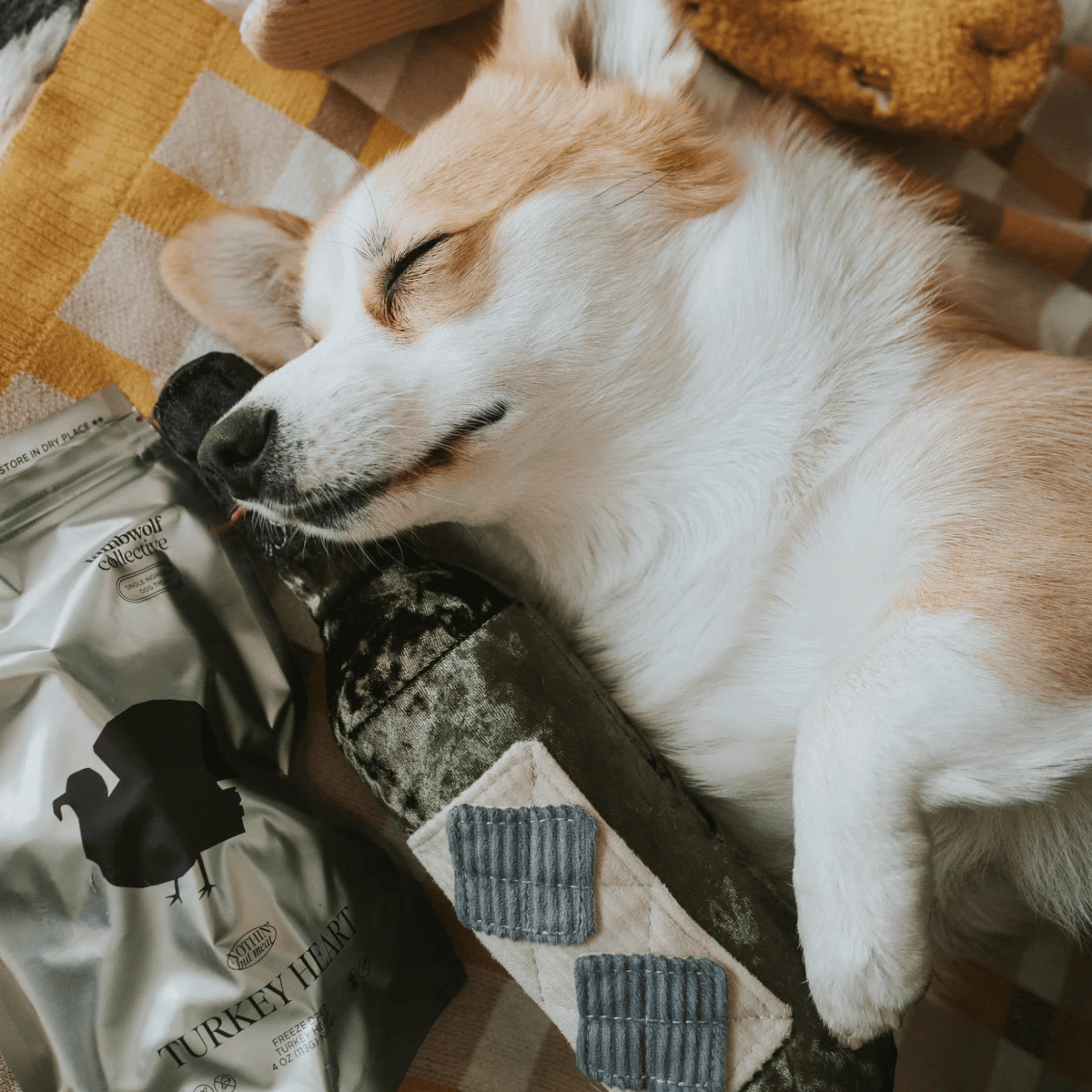 Lambwolf Collective - MERLOT