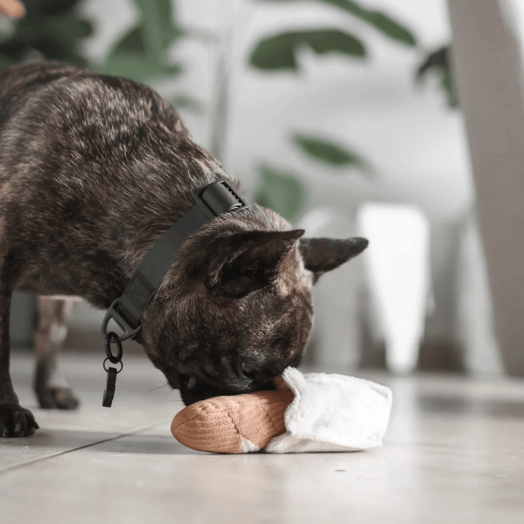 Lambwolf Collective - MINI BAGUETTE