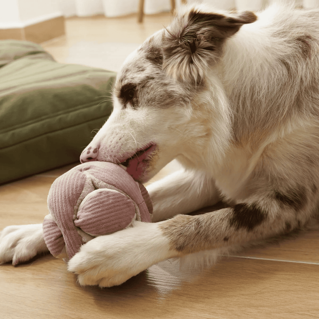 Lambwolf Collective - MONTI BLUSH S